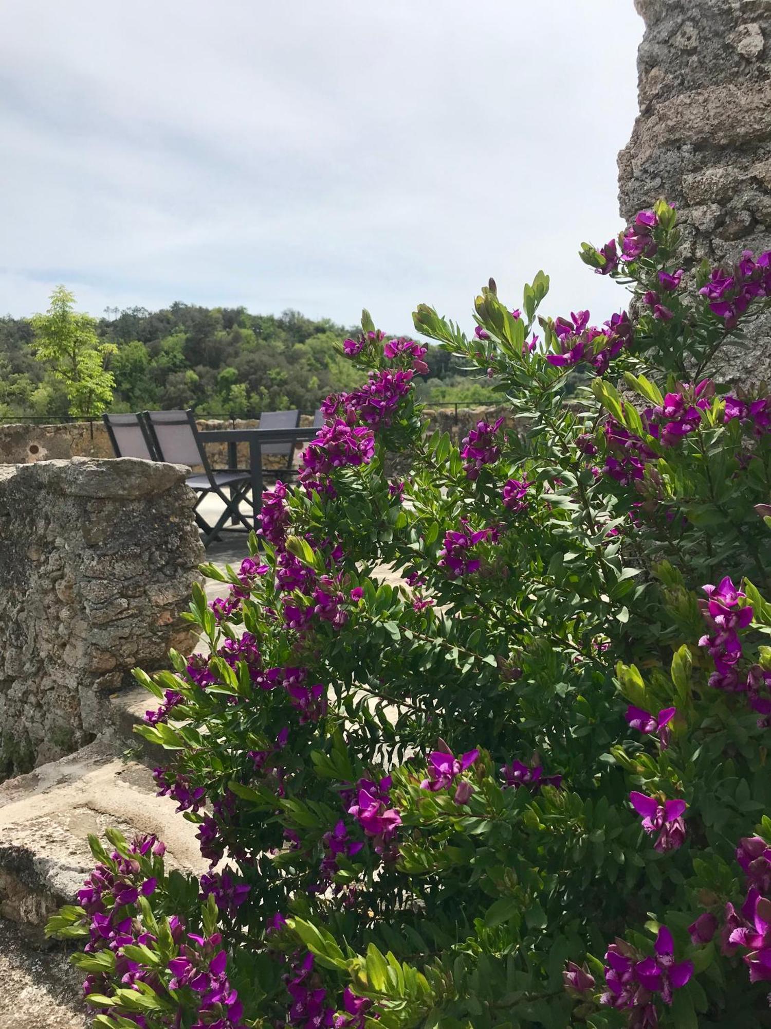 Apartamento Casa Vacanze Arma Delle Manie Finale Ligure Exterior foto